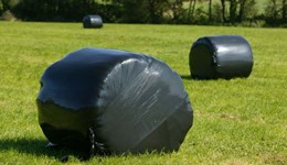 EuroDairy webinar - How to minimise losses during storage and feed-out of silage